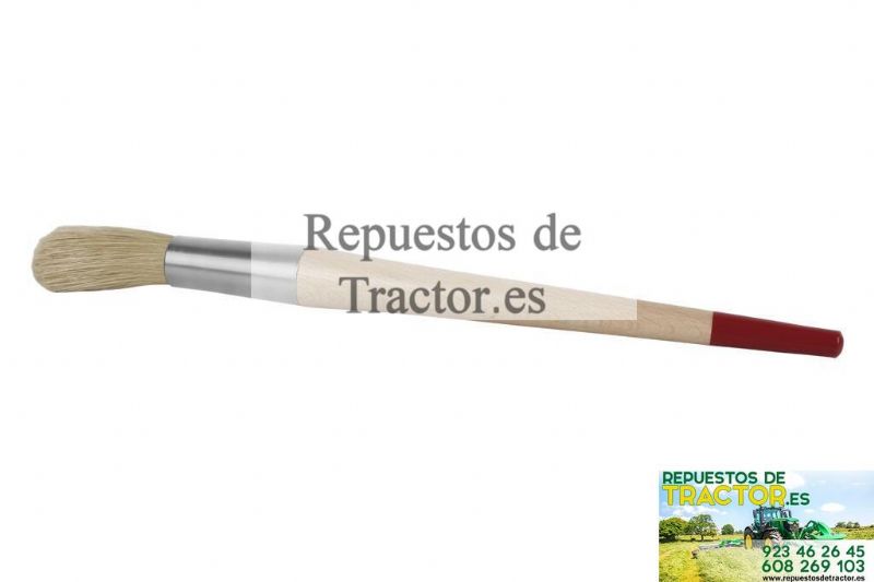 PINCEL PRO REDONDO Nº 6