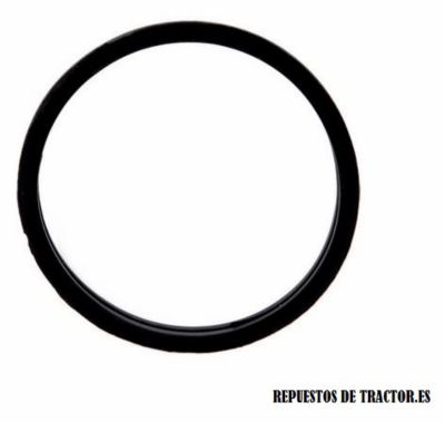 JUNTA TERMOSTATO