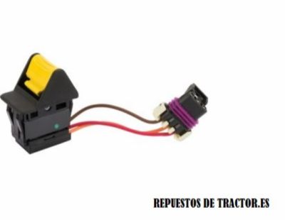INTERRUPTOR BASCULANTE