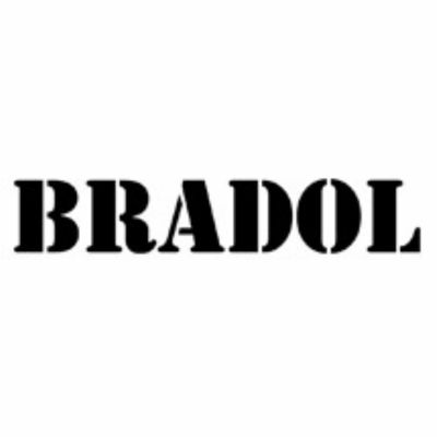 ACEITE MOTOSIERRAS BRADOL 5L