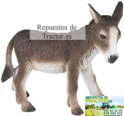 ASNO DE JUGUETE