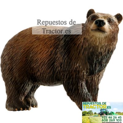 OSO PARDO DE JUGUETE