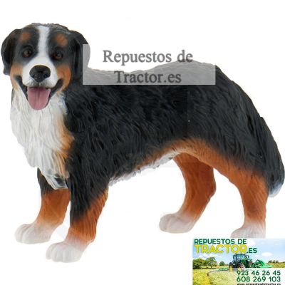 PERRO DE MONTAÑA BERNER BIANCA