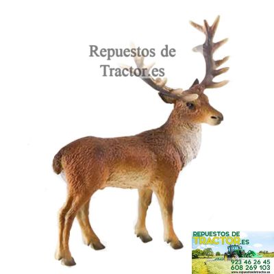 CIERVO