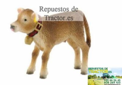 TERNERO ALPINO BENNI