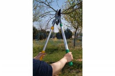 TIJERA PODAR TELESCOPICA 64CM-98CM - foto 2
